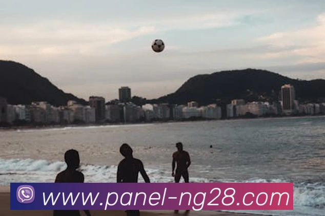 南宫28平台生态图